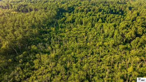 0 Carpenter Rd, Bastrop, LA 71220 photo 21