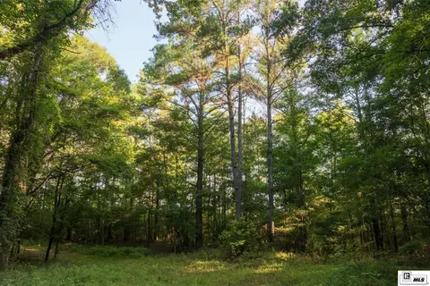 0 Carpenter Rd, Bastrop, LA 71220 photo 38
