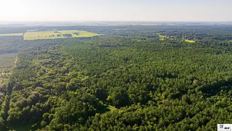 0 Carpenter Rd, Bastrop, LA 71220 photo 34
