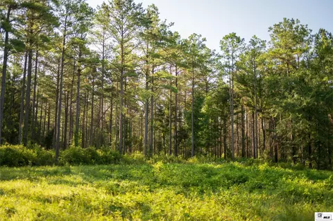 0 Carpenter Rd, Bastrop, LA 71220 photo 43