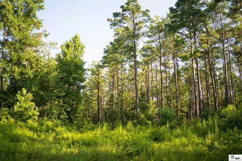 0 Carpenter Rd, Bastrop, LA 71220 photo 40