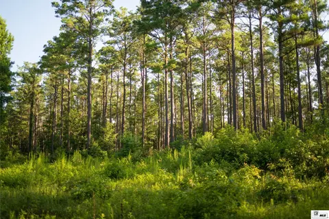 0 Carpenter Rd, Bastrop, LA 71220 photo 41