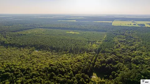 0 Carpenter Rd, Bastrop, LA 71220 photo 36