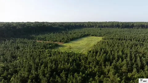 0 Carpenter Rd, Bastrop, LA 71220 photo 9