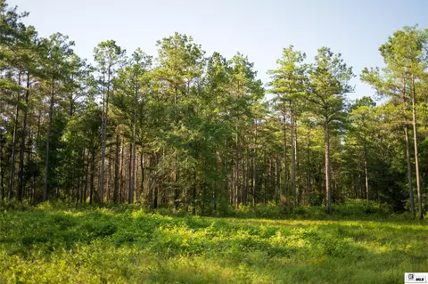 0 Carpenter Rd, Bastrop, LA 71220 photo 44
