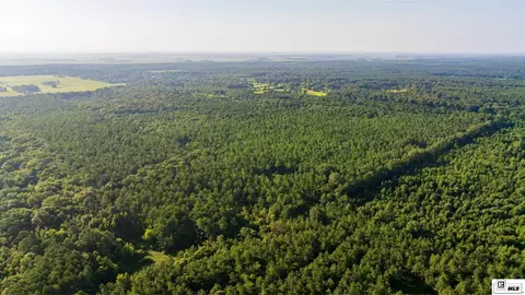 0 Carpenter Rd, Bastrop, LA 71220 photo 37