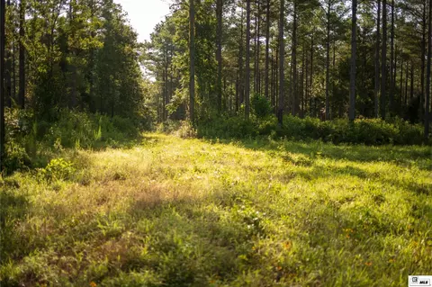 0 Carpenter Rd, Bastrop, LA 71220 photo 42
