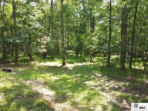2105 Franklin Ave, Ruston, LA 71270 photo 24