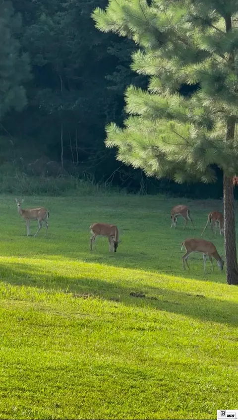 984 Johnson Rd, West Monroe, LA 71291 photo 39