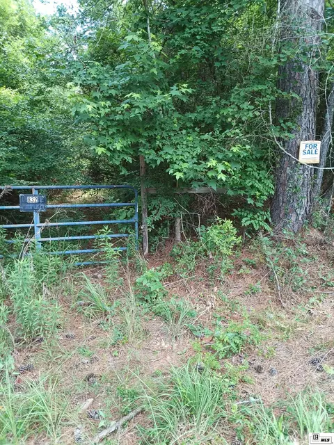 0 Carter Rd, Downsville, LA 71241 photo 1