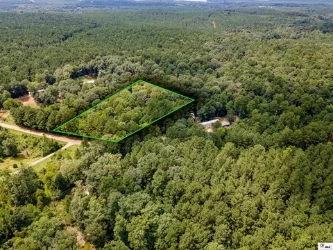 0 Carter Rd, Downsville, LA 71241 photo 4
