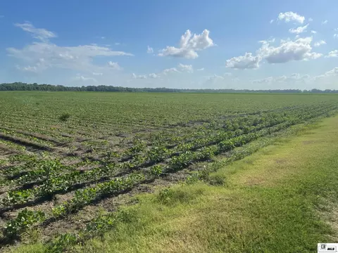 Corner Bridge Sunshine Road, Jones, LA 71263 photo 4