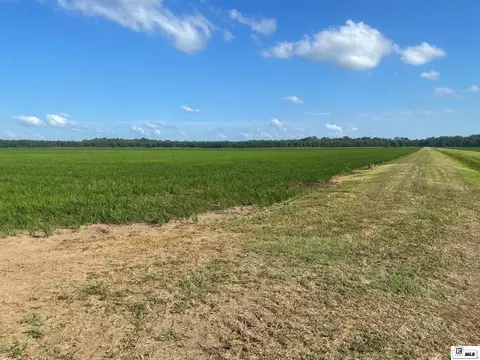 Corner Bridge Sunshine Road, Jones, LA 71263 photo 8