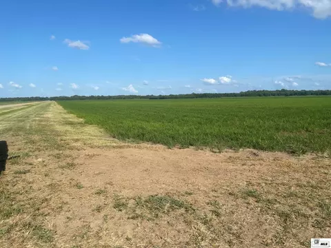 Corner Bridge Sunshine Road, Jones, LA 71263 photo 6