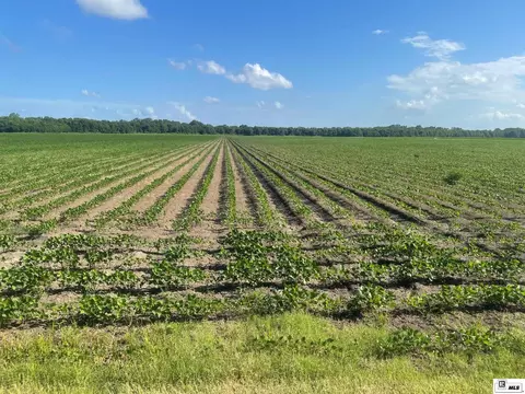 Corner Bridge Sunshine Road, Jones, LA 71263 photo 5