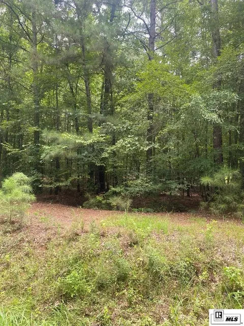 00 Griggs Rd, Calhoun, LA 71225 photo 8