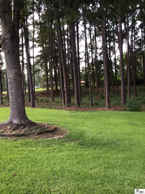 Exterior - 1853 Thomas St, Marion, LA 71260 photo 6 of 9