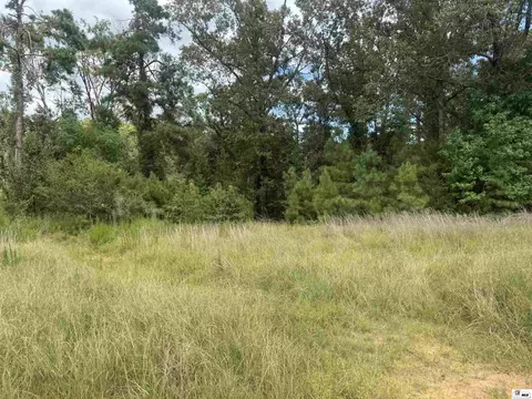 Other - 150 Terrell Ln, Calhoun, LA 71225 photo 6 of 11