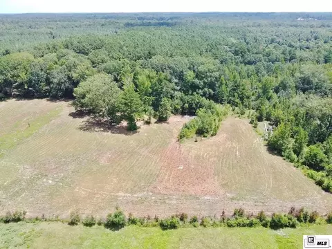 Other - 983 Campbell Rd, Choudrant, LA 71227 photo 3 of 15