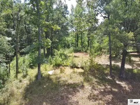 Other - 983 Campbell Rd, Choudrant, LA 71227 photo 12 of 15