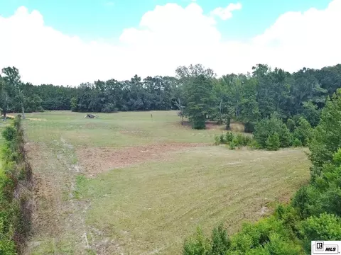 Other - 983 Campbell Rd, Choudrant, LA 71227 photo 7 of 15
