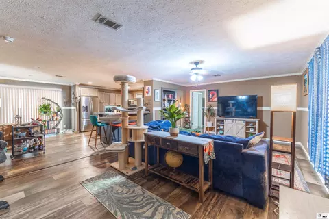 Other - 297 Harrison Rd, Ruston, LA 71270 photo 2 of 9