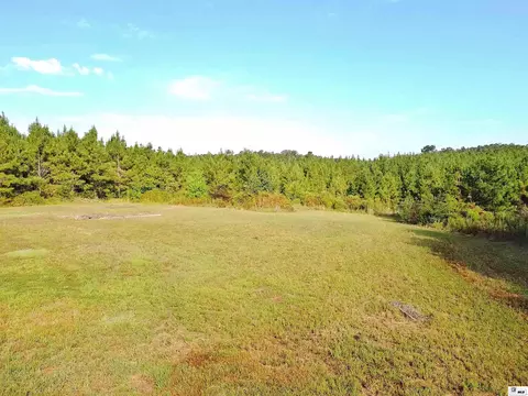 Other - 232 Birdie Ln, Choudrant, LA 71227 photo 7 of 14