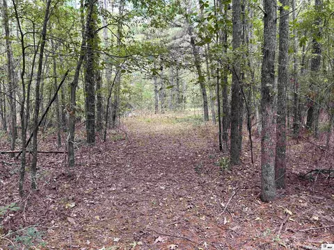 Other - 8409 Diel Rd, Bastrop, LA 71220 photo 9 of 16