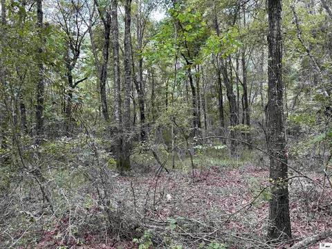 Other - 8409 Diel Rd, Bastrop, LA 71220 photo 11 of 16