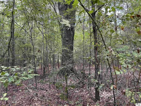 Other - 8409 Diel Rd, Bastrop, LA 71220 photo 12 of 16