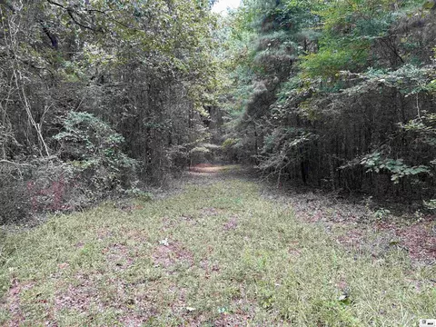 Other - 8409 Diel Rd, Bastrop, LA 71220 photo 10 of 16