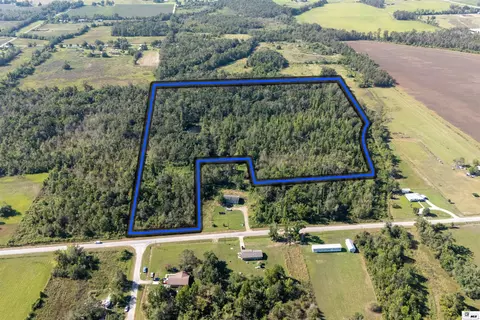 0 Ollie Morris Rd, Rayville, LA 71269