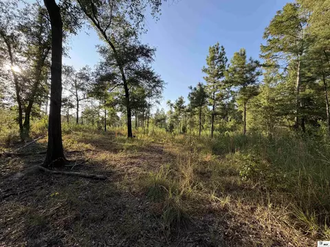0 Dollar Junction Rd, Huttig, AR 71747 photo 18
