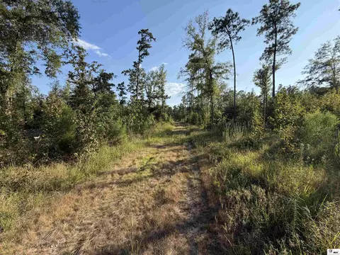 0 Dollar Junction Rd, Huttig, AR 71747 photo 13