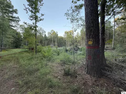 0 Dollar Junction Rd, Huttig, AR 71747 photo 27