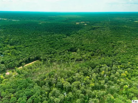 0 Dollar Junction Rd, Huttig, AR 71747 photo 8