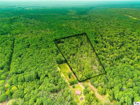 0 Dollar Junction Rd, Huttig, AR 71747 photo 6