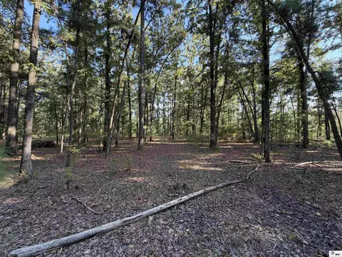 0 Dollar Junction Rd, Huttig, AR 71747 photo 10