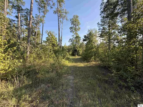 0 Dollar Junction Rd, Huttig, AR 71747 photo 12