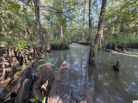 0 Dollar Junction Rd, Huttig, AR 71747 photo 17