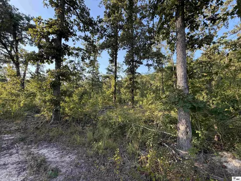 0 Dollar Junction Rd, Huttig, AR 71747 photo 23
