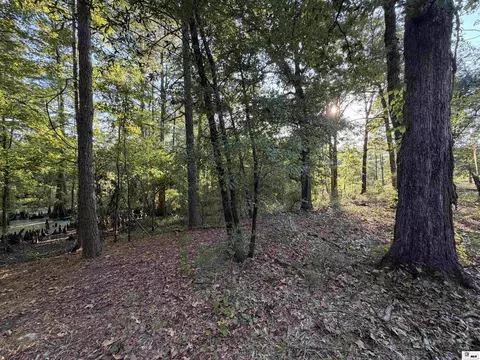 0 Dollar Junction Rd, Huttig, AR 71747 photo 16