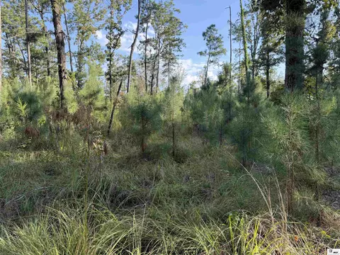 0 Dollar Junction Rd, Huttig, AR 71747 photo 11