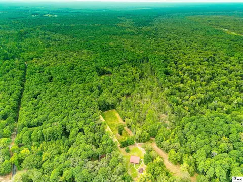 0 Dollar Junction Rd, Huttig, AR 71747 photo 7
