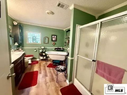 Bath - 1533 Williams Rd, Choudrant, LA 71227 photo 2 of 3
