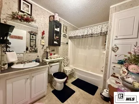 Bath - 1533 Williams Rd, Choudrant, LA 71227 photo 3 of 3