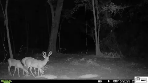 Other - 235 Carter Rd, Calhoun, LA 71225 photo 12 of 14