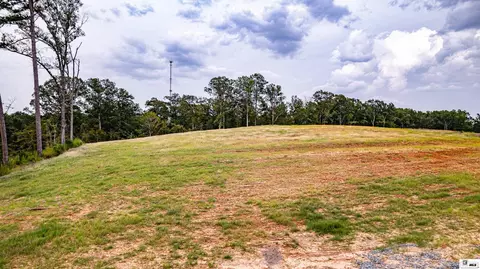 Other - 235 Carter Rd, Calhoun, LA 71225 photo 4 of 14