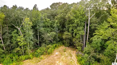 Other - 235 Carter Rd, Calhoun, LA 71225 photo 9 of 14
