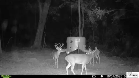 Other - 235 Carter Rd, Calhoun, LA 71225 photo 14 of 14